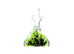 Plant Extract